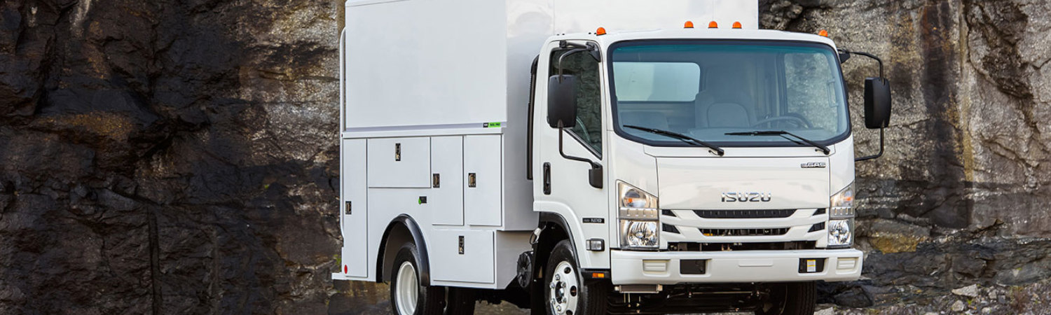 2021 Isuzu Truck Gas for sale in PTR Truck Center, West Chicago, Illinois